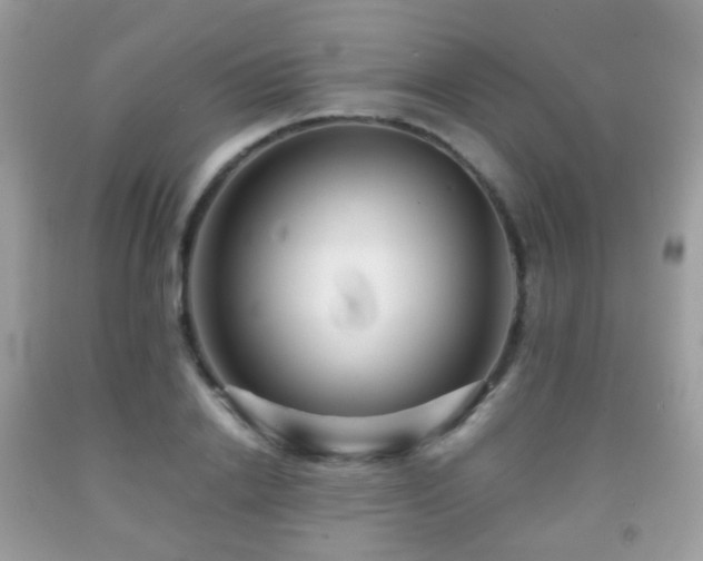X0000091950838200709061238
