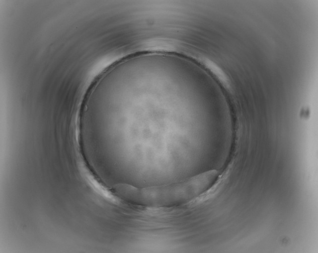 X0000091950840200709061238