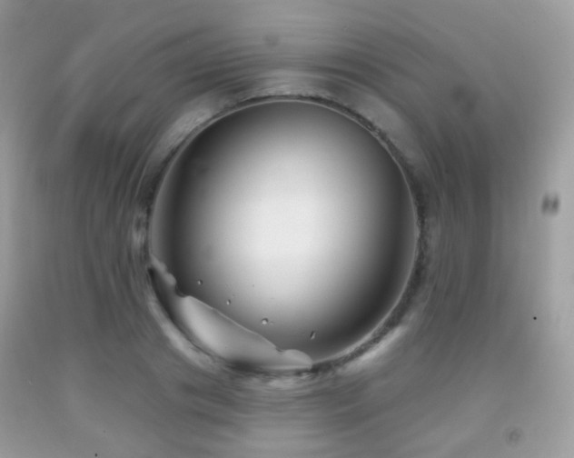 X0000091950841200709061238
