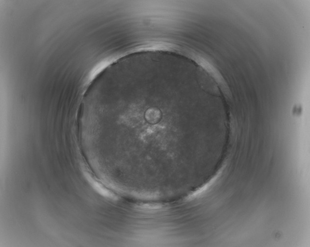 X0000091950842200709061238
