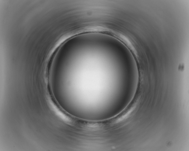 X0000091950843200709061238