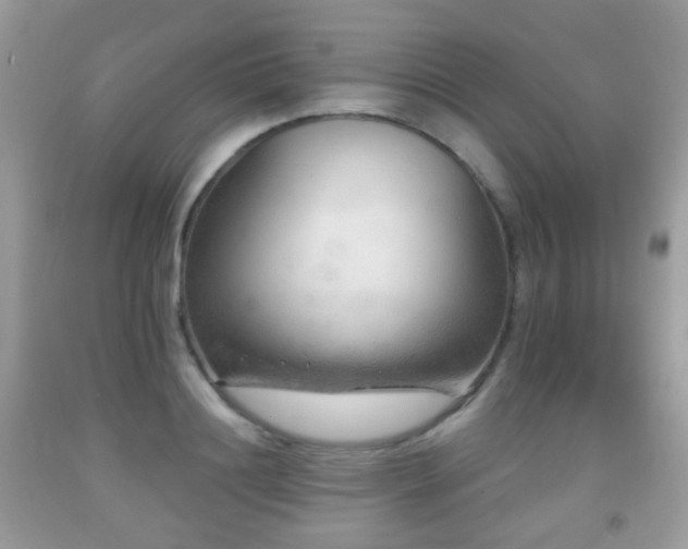 X0000091950844200709061238