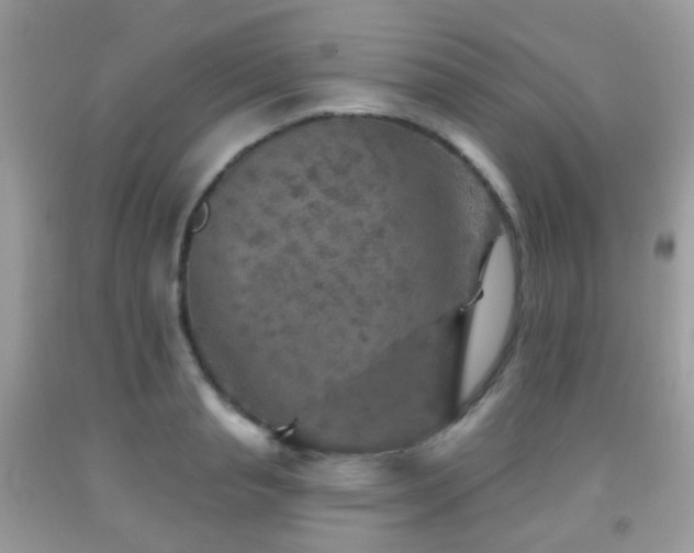 X0000091950845200709061238