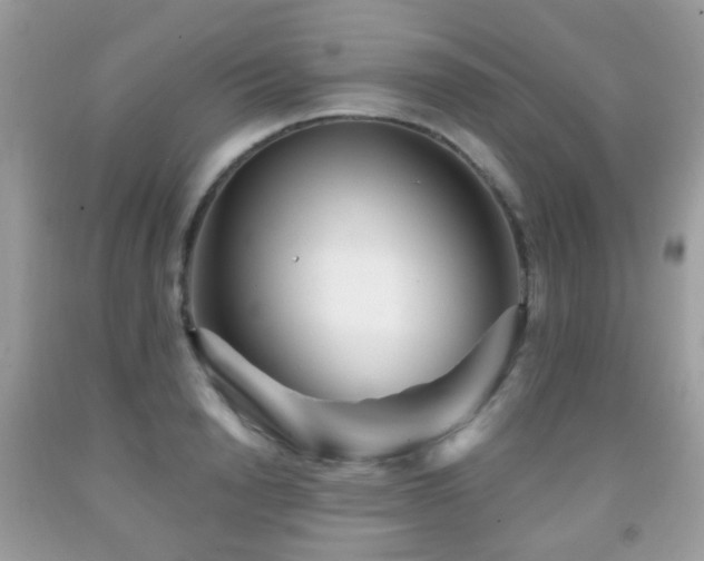 X0000091950846200709061238