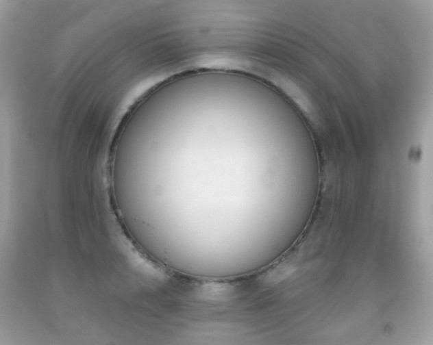 X0000091950848200709061239