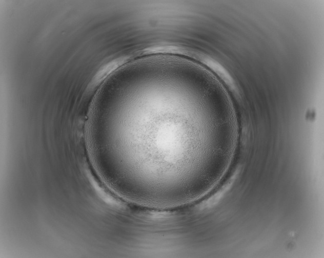 X0000091950849200709061239