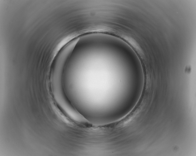 X0000091950850200709061239