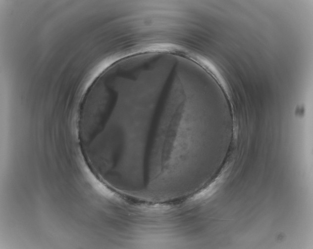 X0000091950851200709061239