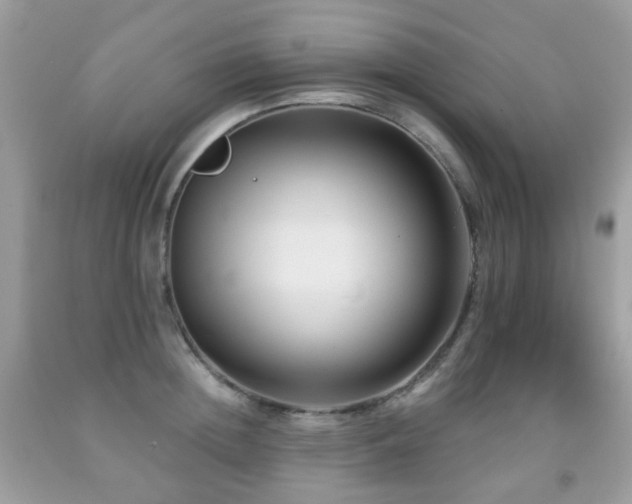 X0000091950852200709061239
