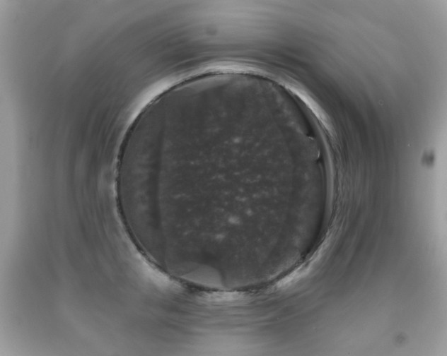 X0000091950853200709061239