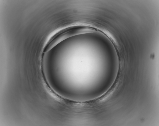 X0000091950854200709061239