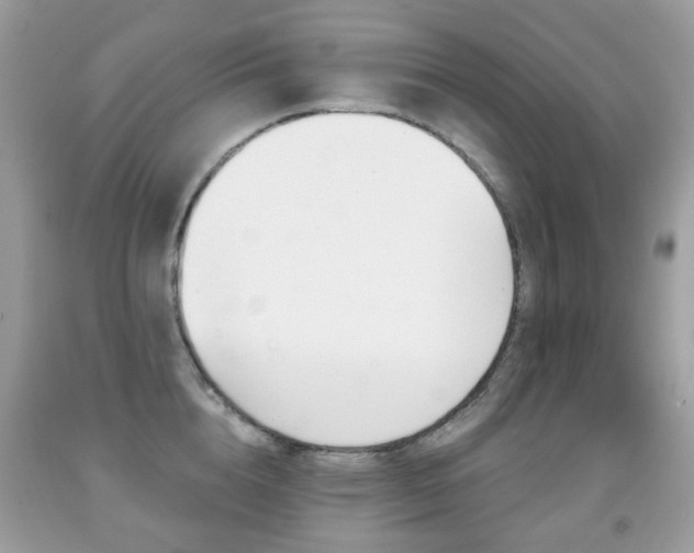 X0000091950856200709061239