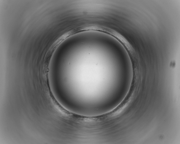 X0000091950857200709061239