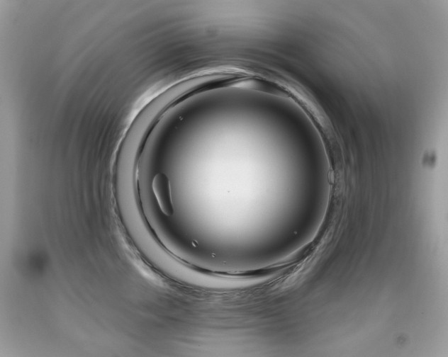X0000091950858200709061239