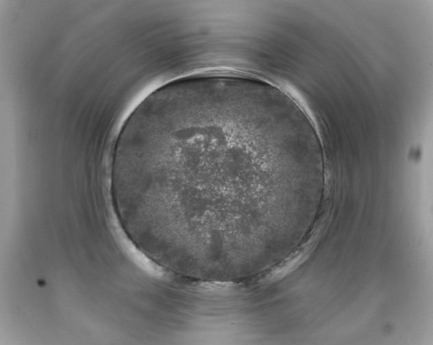 X0000091950859200709061239