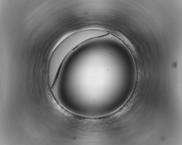 X0000091950860200709061239