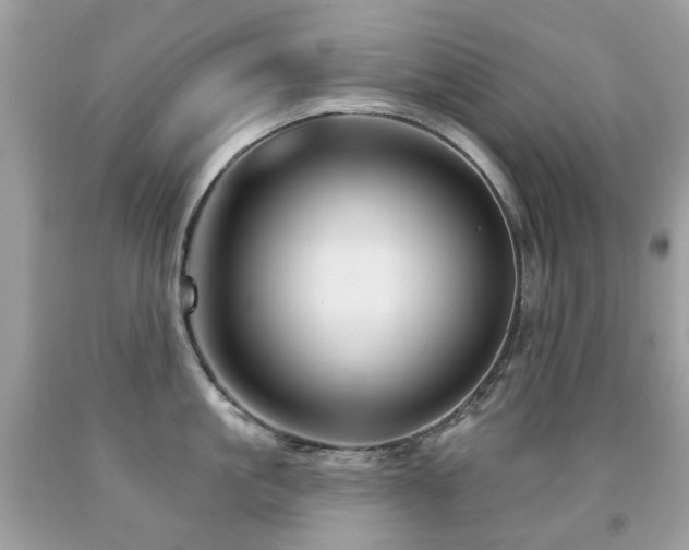 X0000091950861200709061239