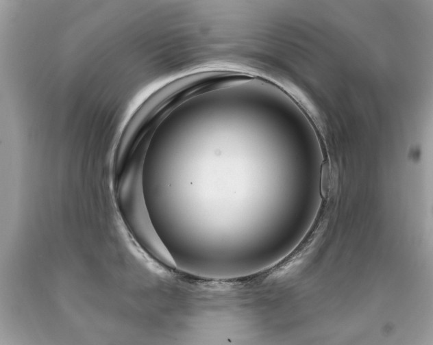 X0000091950862200709061239
