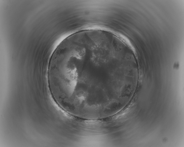 X0000091950863200709061239
