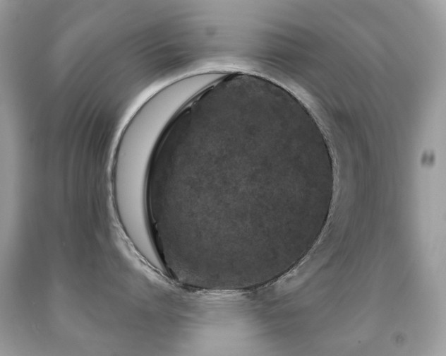 X0000091950864200709061239