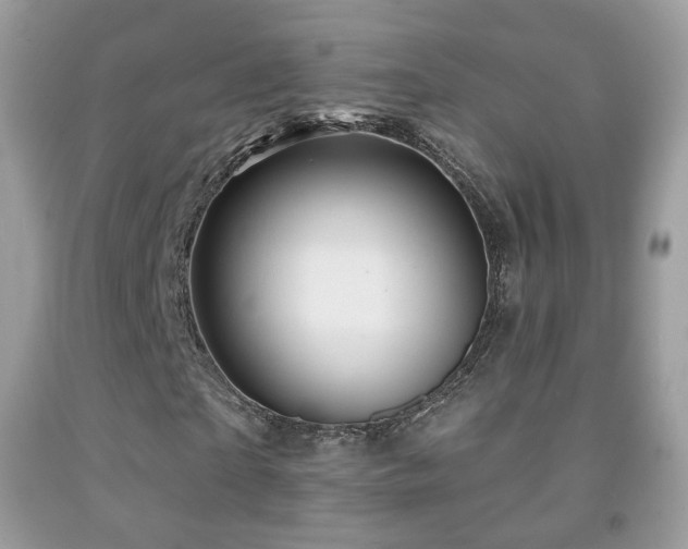 X0000091950865200709061238