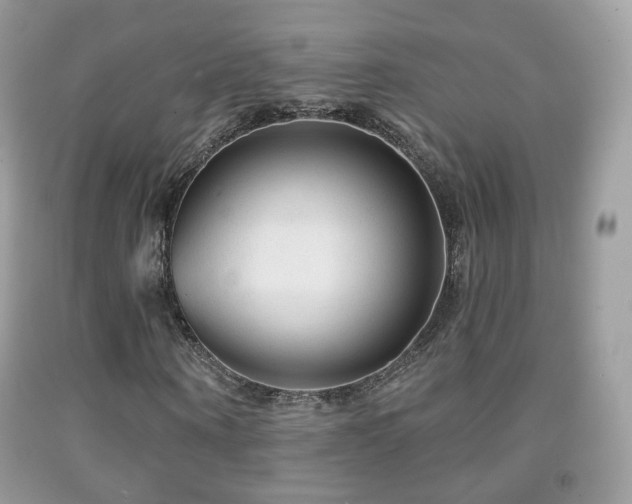 X0000091950866200709061238