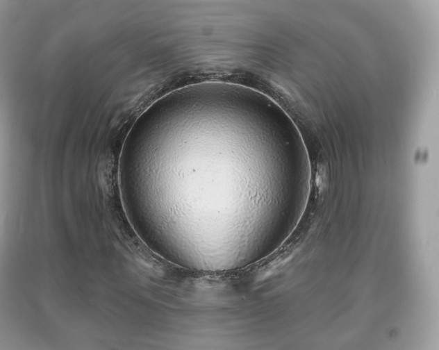 X0000091950867200709061238
