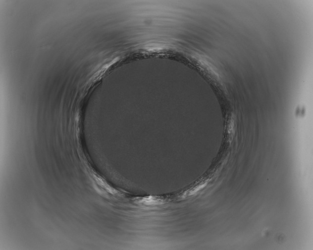X0000091950868200709061238