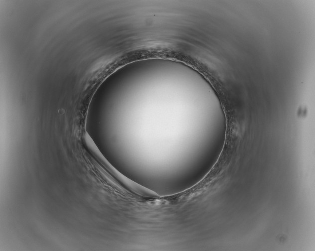 X0000091950869200709061238