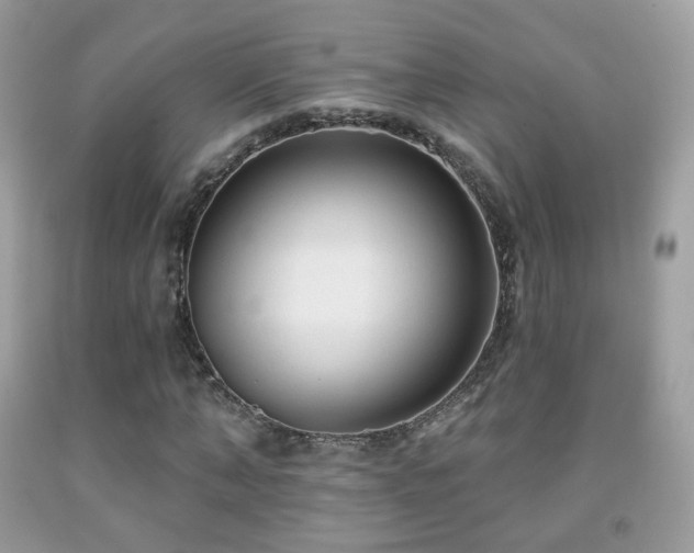X0000091950870200709061238