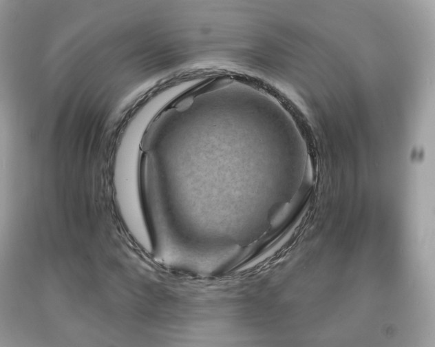 X0000091950872200709061238
