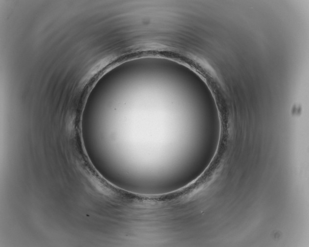 X0000091950873200709061238