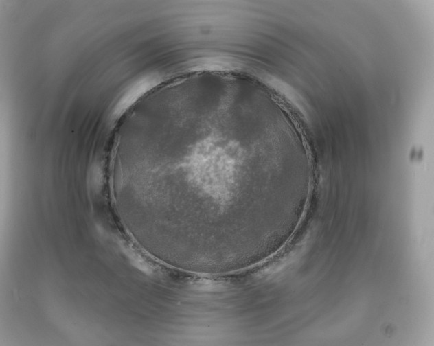 X0000091950874200709061238