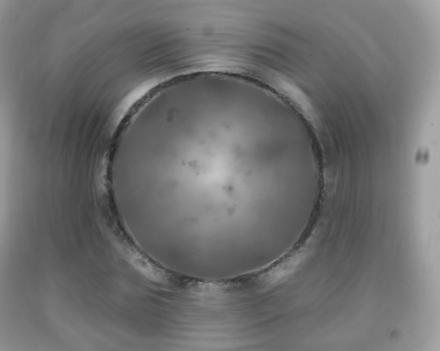 X0000091950875200709061238