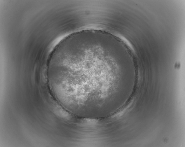 X0000091950878200709061238