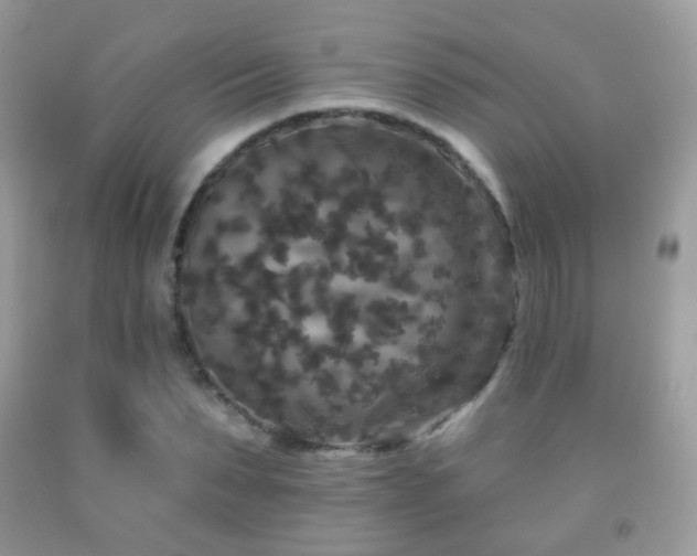 X0000091950879200709061238