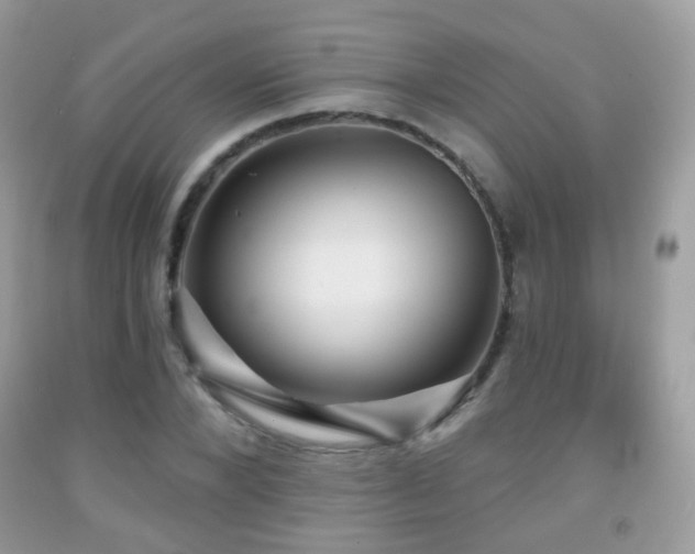 X0000091950880200709061238