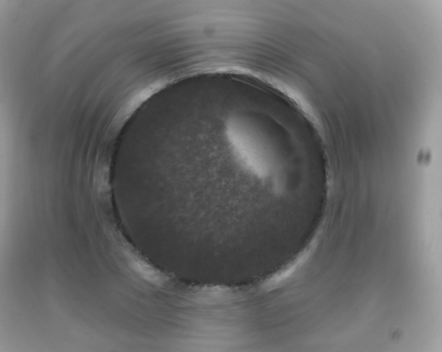 X0000091950881200709061238
