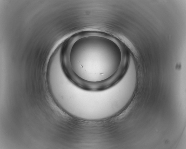 X0000091950884200709061238