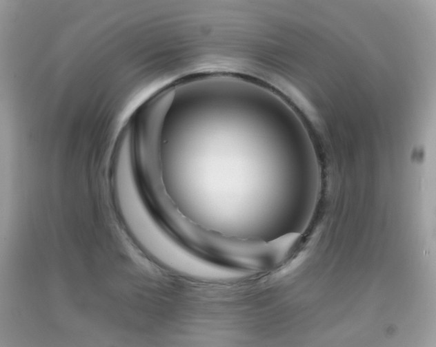 X0000091950885200709061238