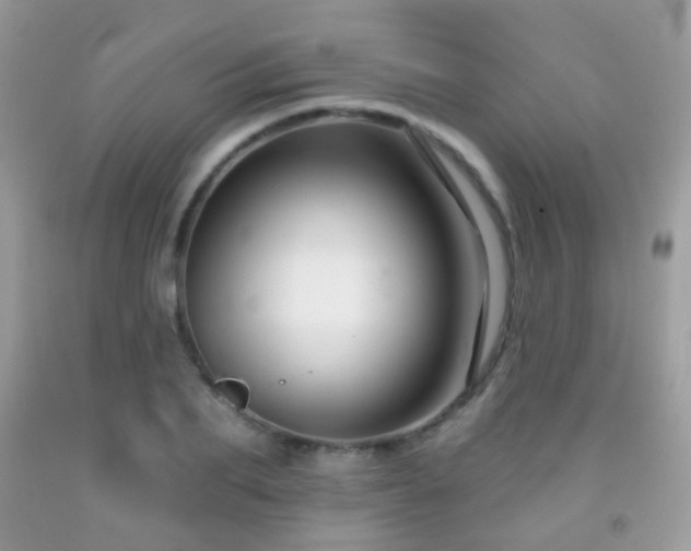 X0000091950887200709061238