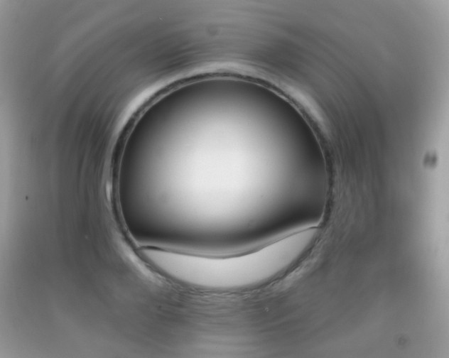 X0000091950888200709061238
