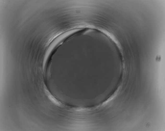 X0000091950889200709061238