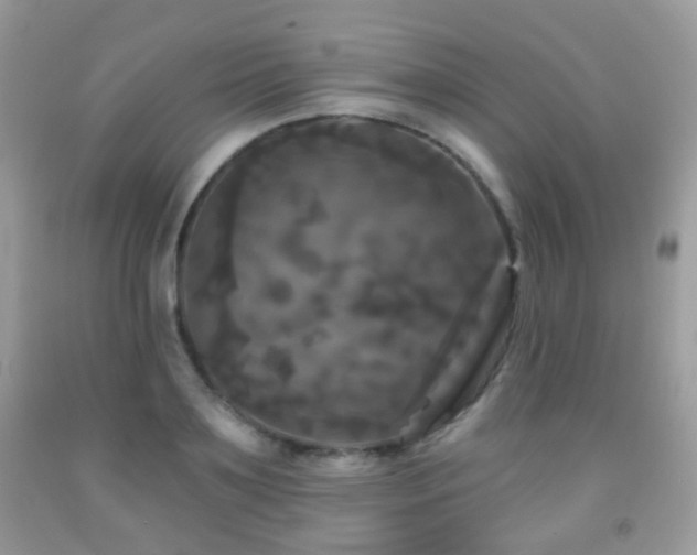 X0000091950891200709061238