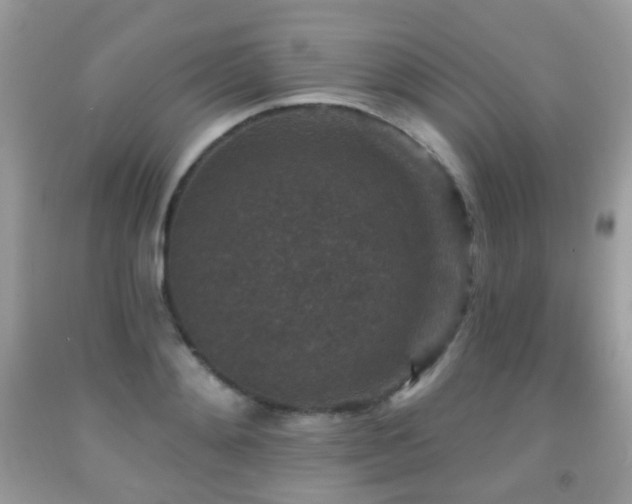 X0000091950892200709061238