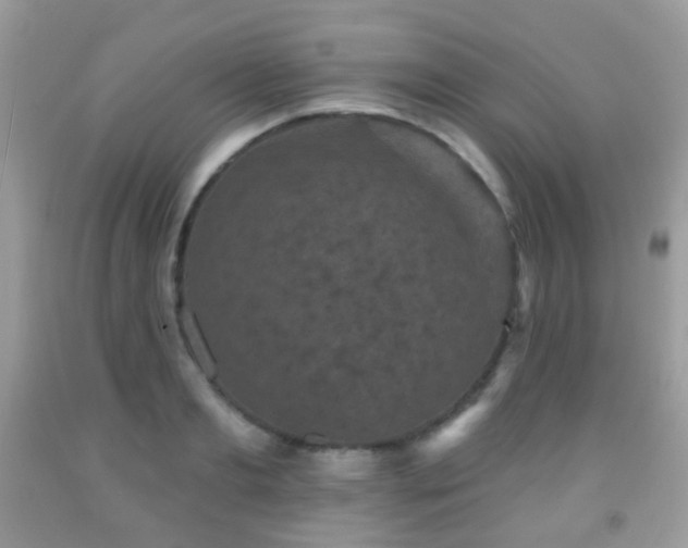 X0000091950893200709061238