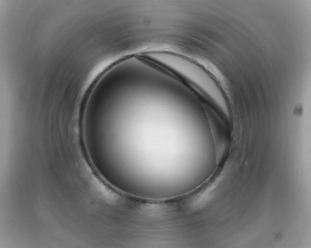 X0000091950894200709061238
