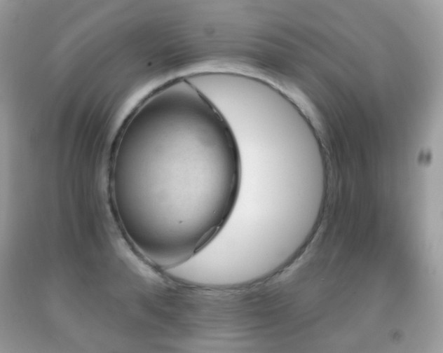 X0000091950896200709061238