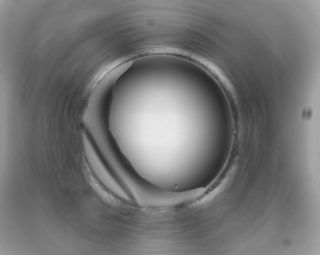 X0000091950897200709061238