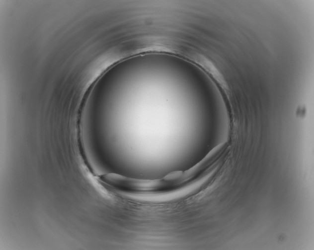 X0000091950898200709061238